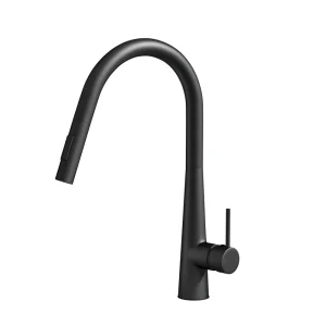 Black Pull-Out Kitchen Mixer Tap